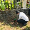 ‘Haritha Deyak’ National Home Gardening Program